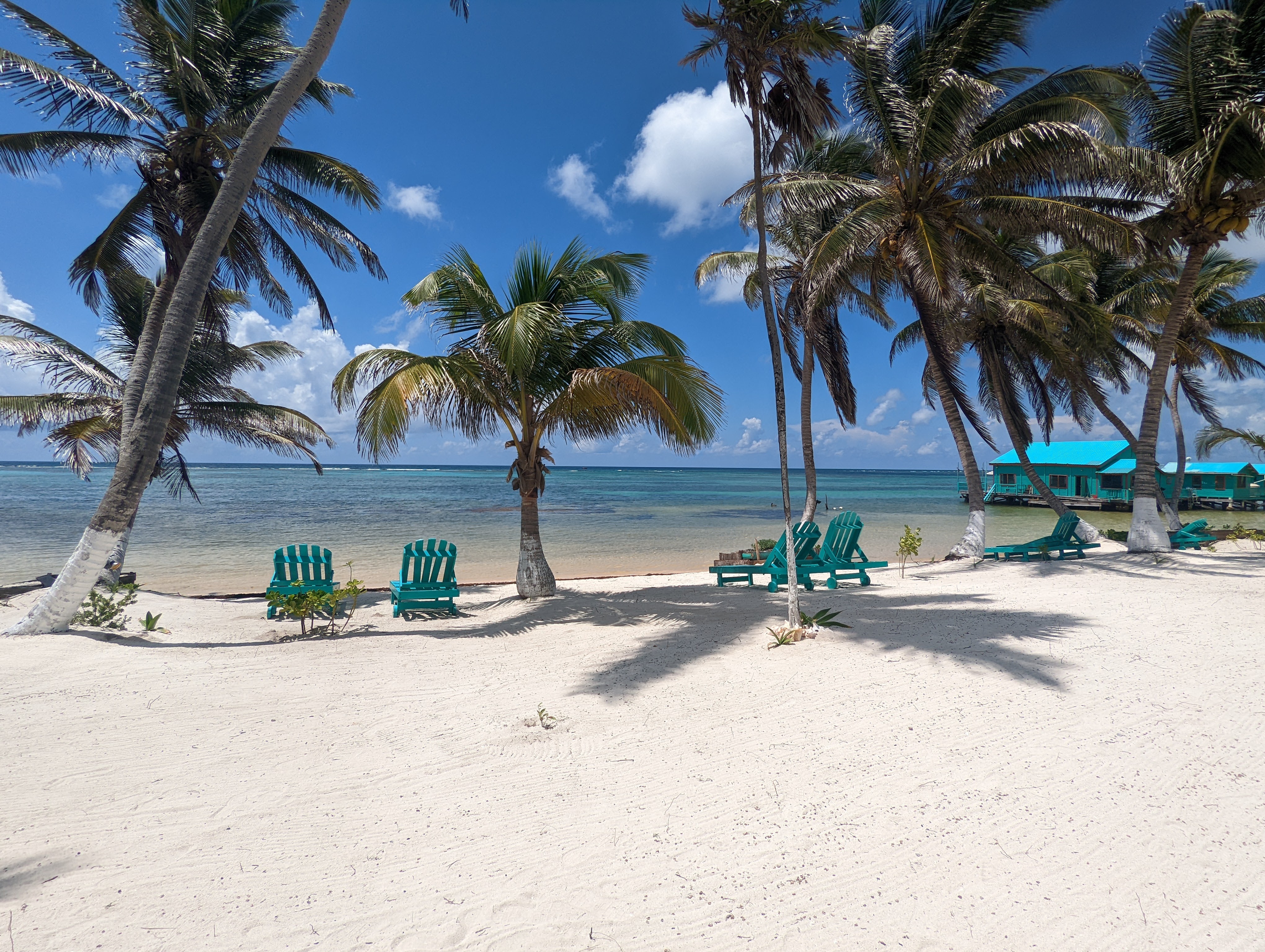 Beachfront View